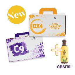13 Dagen F.I.T. Programma